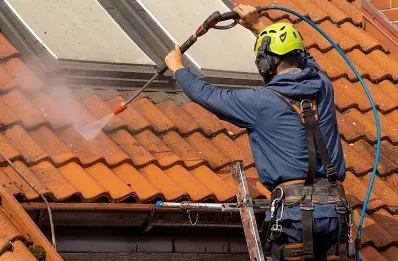 Démoussage et hydrofuge de toiture à Denguin